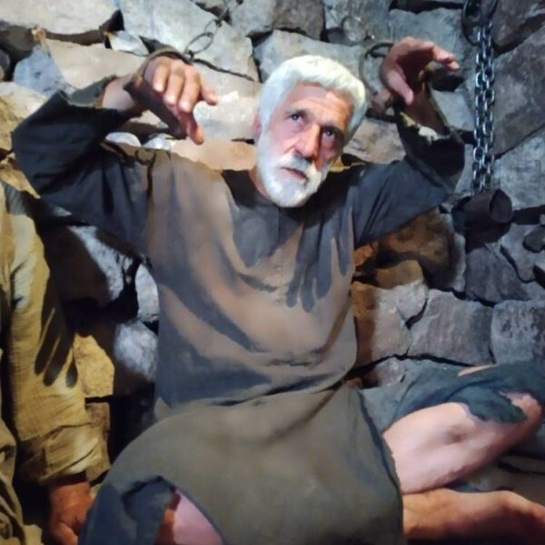 جلال زندش در سریال مینا و پلنگ